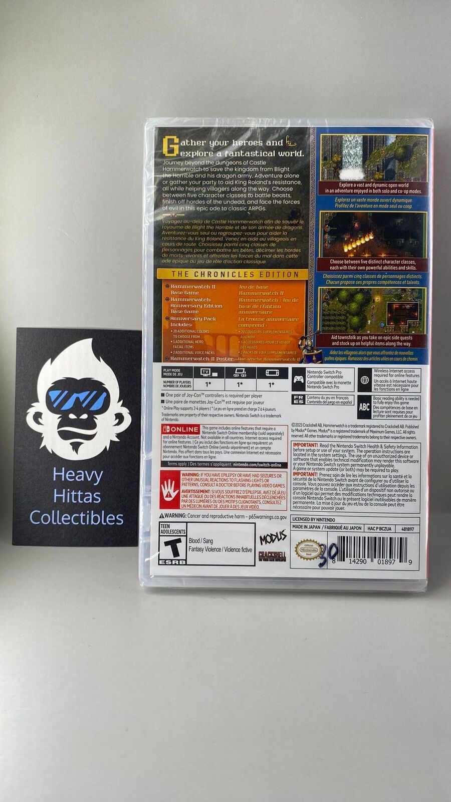 Switch – Hammerwatch II: The Chronicles Edition – New