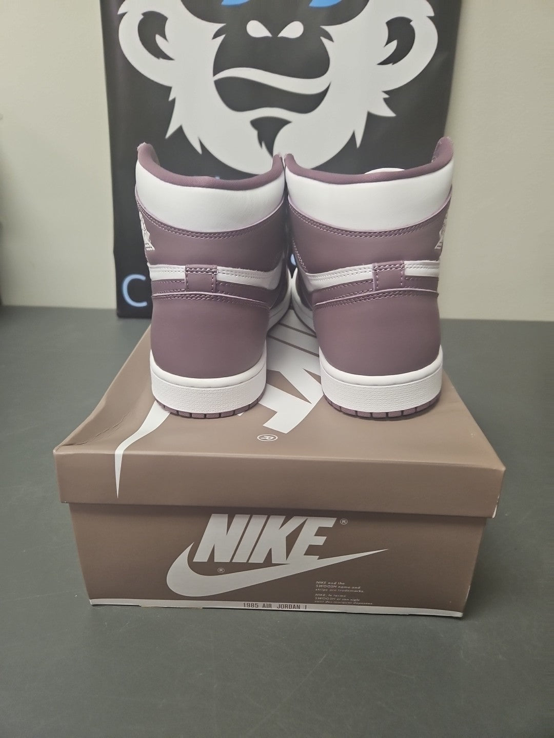 NEW Size 11 Men Nike Air Jordan 1 Retro High OG  Sky J Mauve/ White DZ5485-105