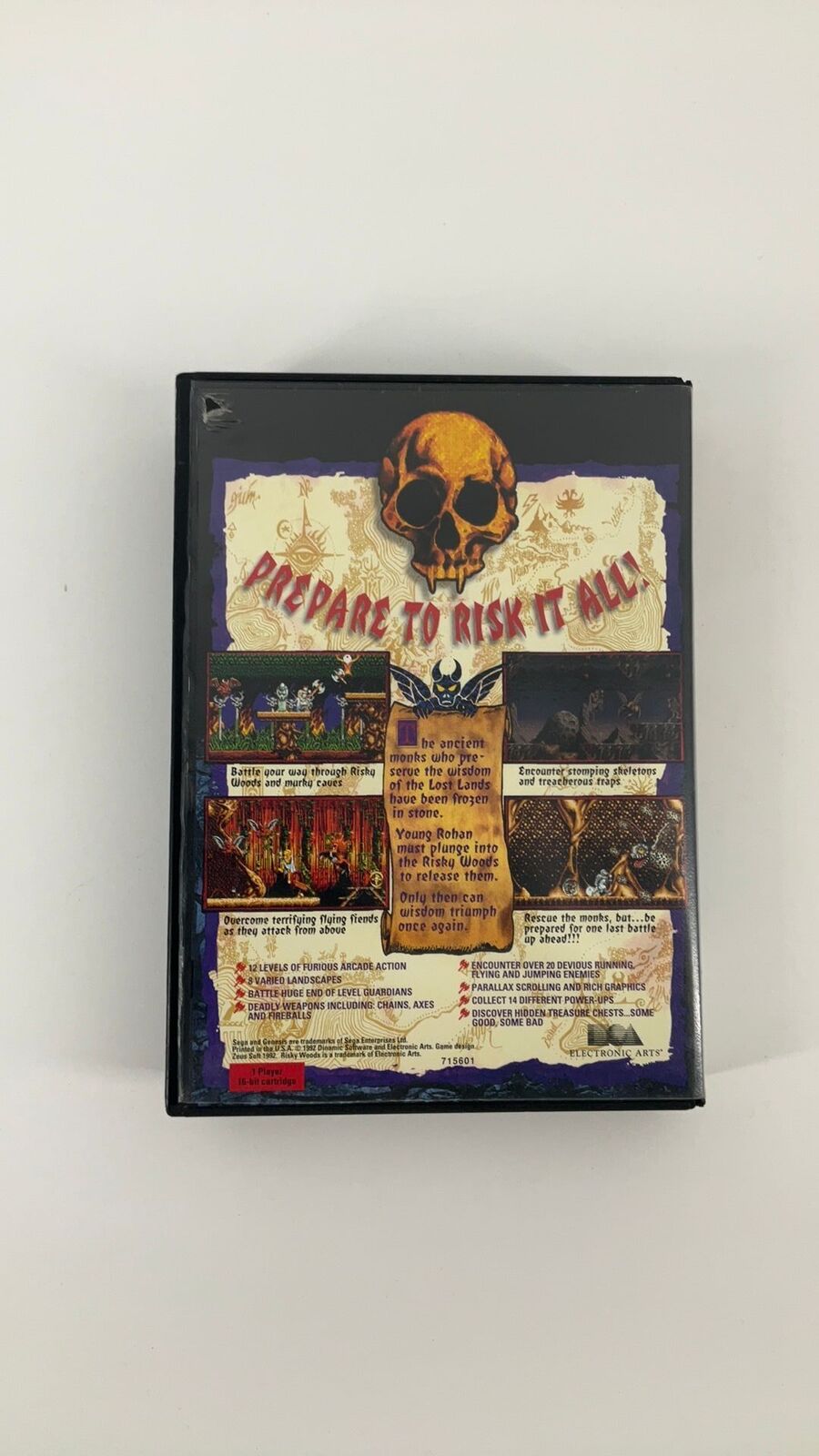 Genesis – Risky Woods – CIB++